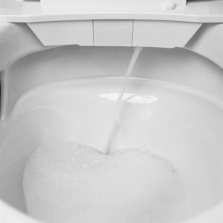 Commercial Seat Heating Toilet NT100B